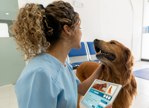 A woman with caramel skin and curly hair wears scrubs and holds an ipad while petting a dog